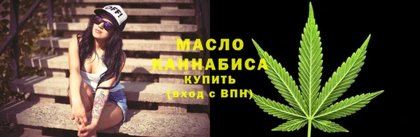 мдма Ельня