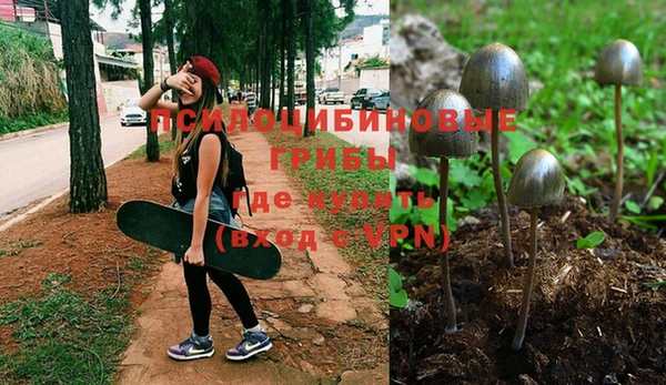 мдма Ельня