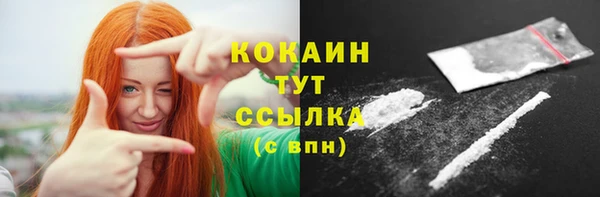 дживик Елизово