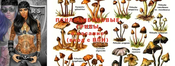 мдма Ельня