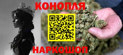 гидра Камышлов