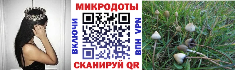 Галлюциногенные грибы Cubensis  где можно купить наркотик  Обь 