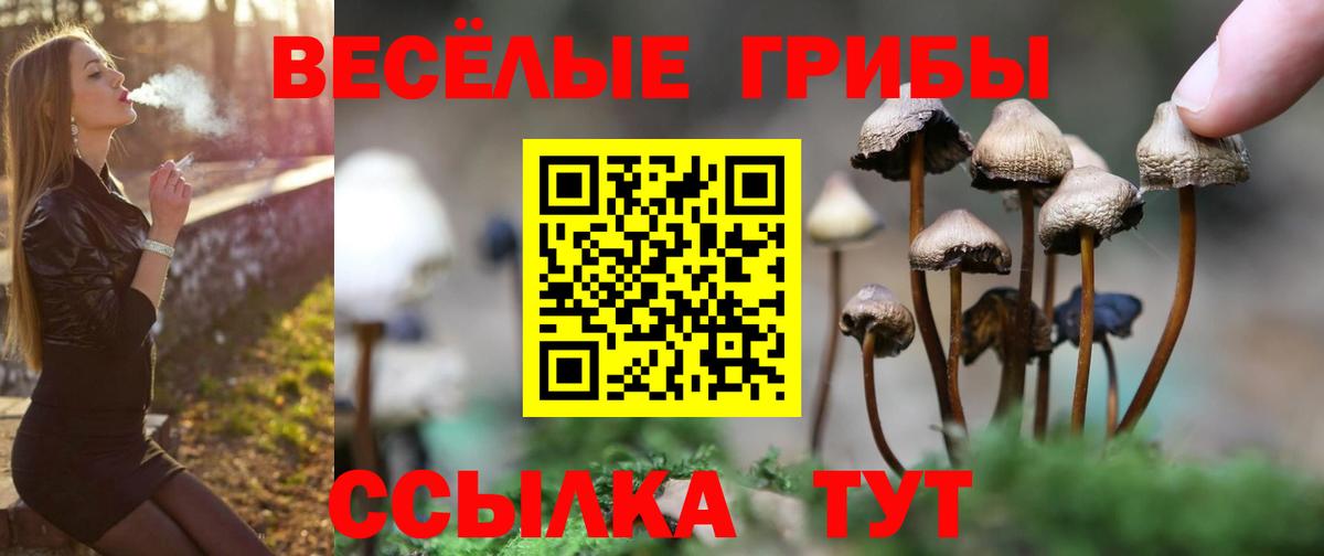 Псилоцибиновые грибы MAGIC MUSHROOMS  Вход с VPN  Обь 