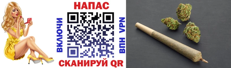 Бошки Шишки семена  Обь 
